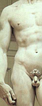 Michelangelo, study for Creation of Adam